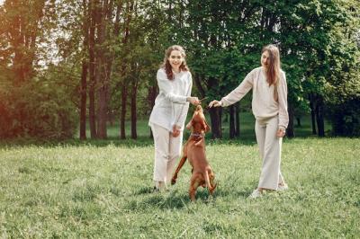 Elegant and Stylish Sisters Enjoying a Spring Park – Free Stock Photo for Download