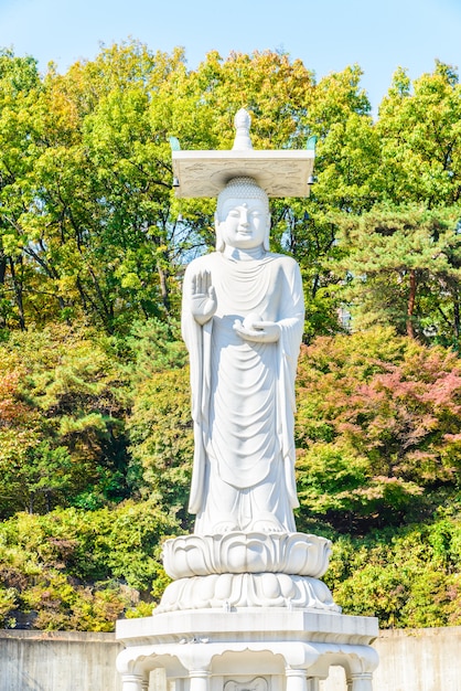 Traditional Buddhism Skyline: Free Stock Photo for Download