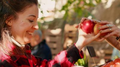 Female Customer Selecting Fresh Organic Apples at Farmers Market – Free Download