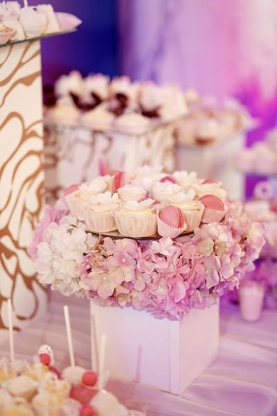 Plates of Pink and White Sweets on Hydrangea Cubes – Free Download