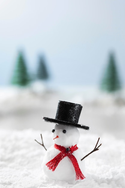 Snowman Winter Concept: Free Stock Photo for Download