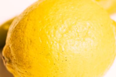 Macro Lemon Texture – Free to Download