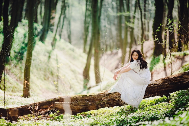 Woman in Elegant White Dress Sitting on Tree on a Sunny Day – Free Download