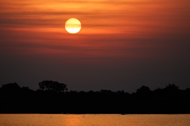 Stunning Northern Pantanal Sunset – Free Download