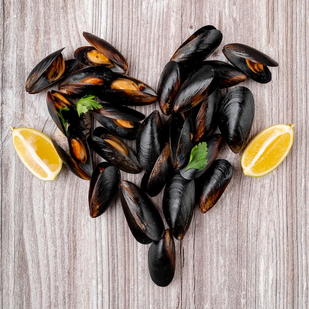 Mussels in Heart Shape Concept – Free Download