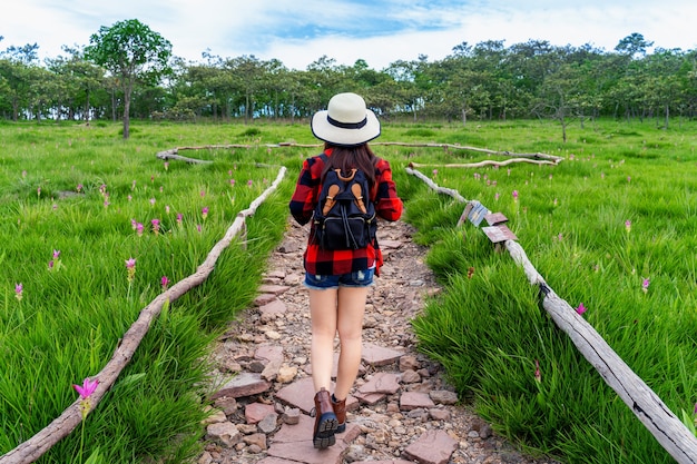 Woman Traveler with Backpack Amidst Krachiew Flower Field in Thailand – Free Stock Photo, Download for Free