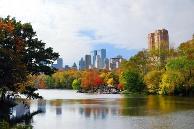 Captivating Views of Central Park in Manhattan, New York City – Free Download