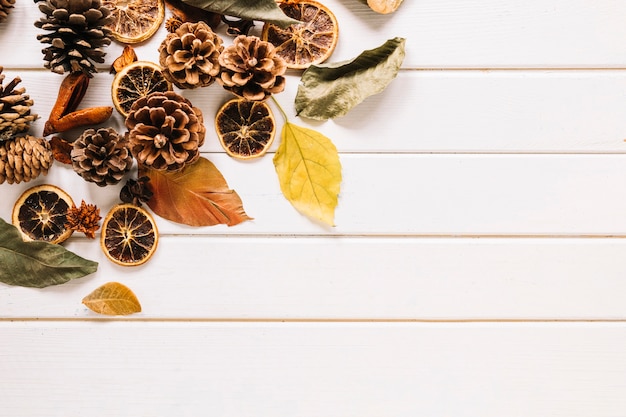 Autumn Organic Composition on White Background – Free Download