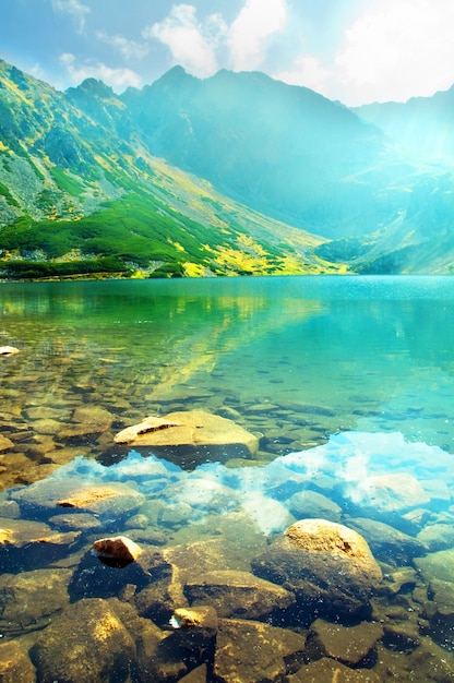 Close-up of Submerged Stones in the Lake – Free Stock Photo, Download Free