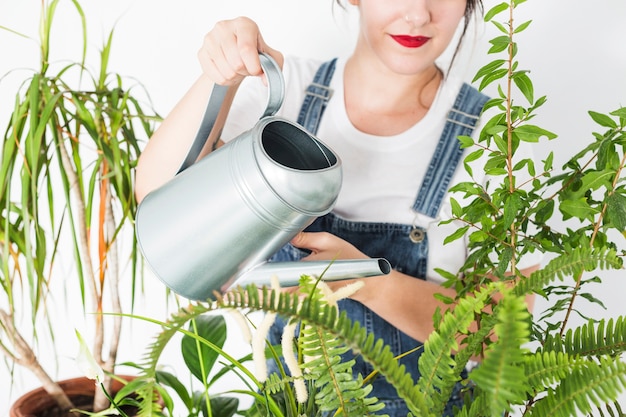 Woman Watering Plants with a Can – Free Download