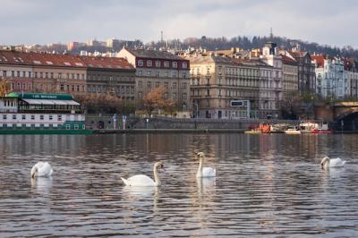 Prague: Stunning Free Stock Photos for Download