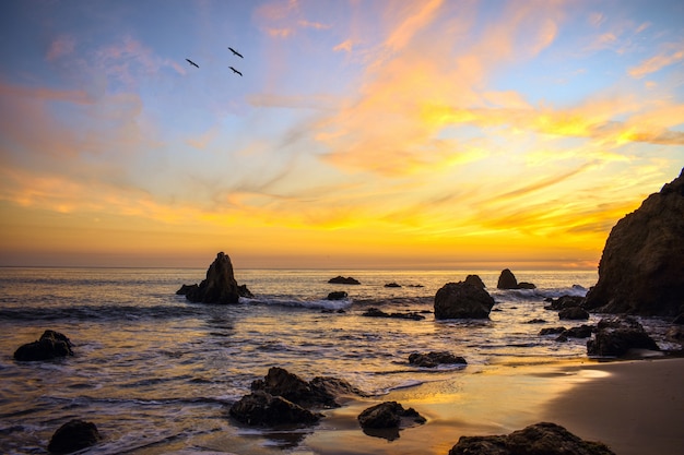 Beautiful Sunset with Birds Flying Over the Ocean Shore – Free Download