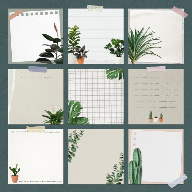 Houseplant Decorated Paper Note PSD Set – Free Download