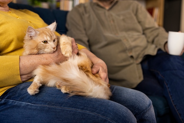 Elderly People Enjoying Time with Their Cat – Free Stock Photo, Download for Free