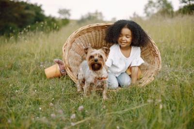 Enjoy Summer with a Baby Girl and Yorkshire Terrier in a Wicker Basket | Free Download