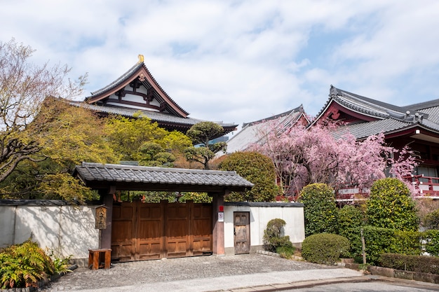 Japanese Style Temple – Free Stock Photo for Download