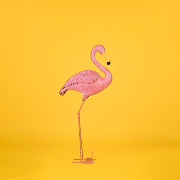 Decorative Flamingo on Orange Background – Free Download