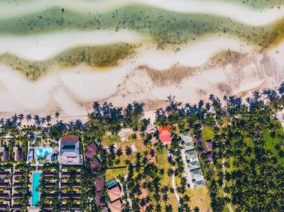 Aerial View of a Stunning Tropical Beach and Island Trees – Free Download