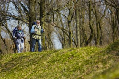 Best Emotions: Aged Family Couple in Tourist Outfits on a Sunny Day – Free Stock Photo for Download