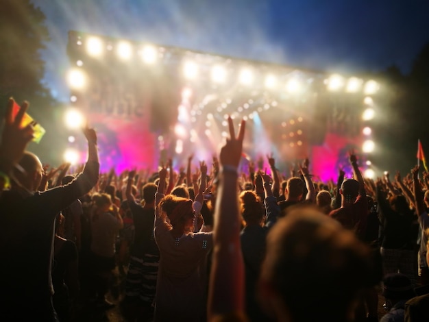 Crowd at Music Concert – Free Download