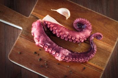 Delicious Cooked Octopus – Download Free Stock Photo