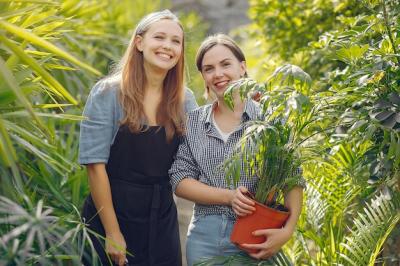 Women Working in a Greenhouse with Flowerpots – Free Download