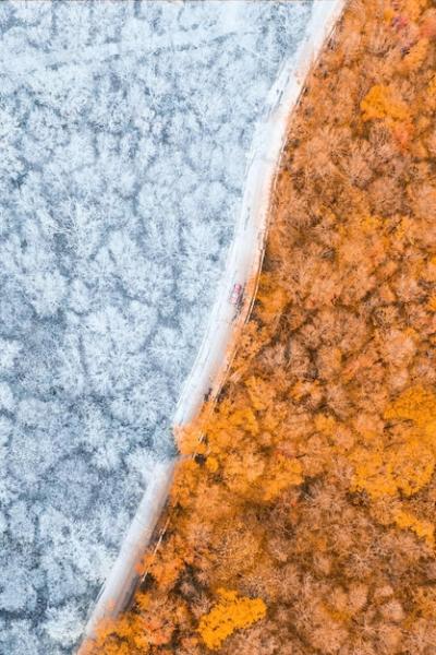 Aerial Shot of a Snow-Covered Road Amidst Yellowing Trees – Free to Download