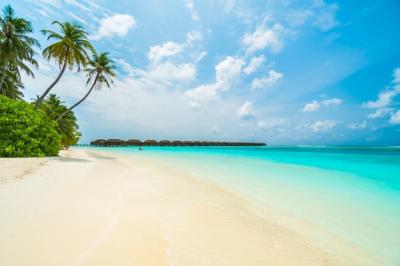 Beautiful Maldives Island – Free Stock Photo for Download