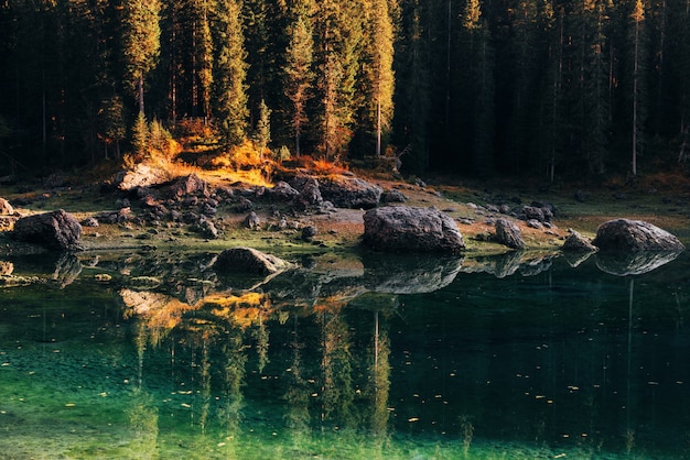 Stunning Green Lake Surrounded by Fir Forest – Free Download