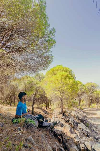 Backpacker Sitting Under Trees – Free Stock Photo, Download Free