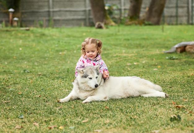 Little Baby Girl Playing with Dog in Green Grass at the Park – Free to Download