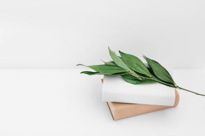 Green Leaves Twig and Books on White Backdrop – Free Stock Photo Download