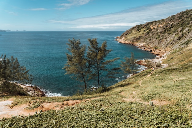 Stunning Sea Landscape with Lush Green Hills in Rio de Janeiro, Brazil – Free Download