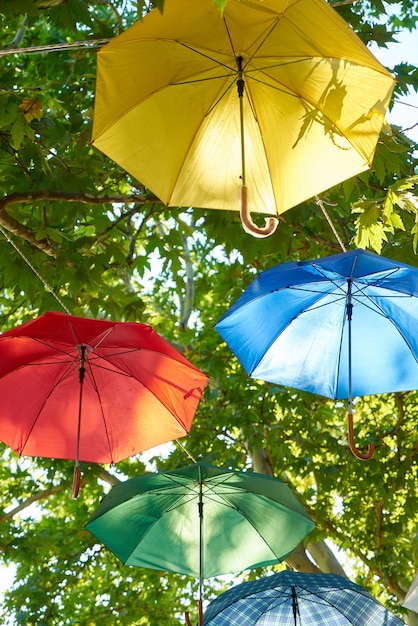 Stunning Colorful Umbrella Hanging from Trees – Free Download