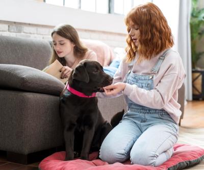 Woman Feeding Dog – Free Stock Photo Download