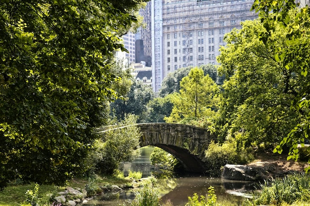 Arch Bridge Over River at Park in City – Free Stock Photo Download