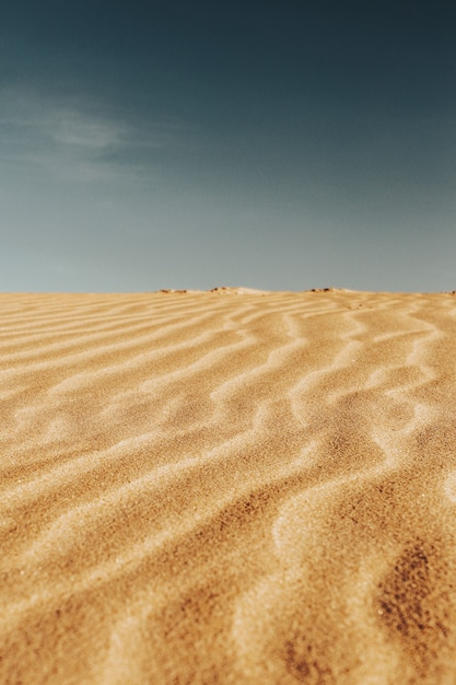 Patterns on Desert Sands – Free Download