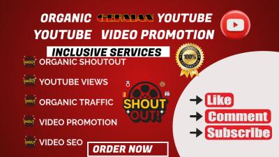 I will do organic youtube video or channel promotion for monetization