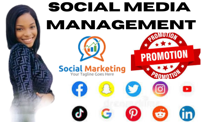 I will be your social media advertisement, facebook instagram tiktok posting manager