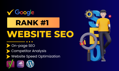 I will do wordpress website onpage and technical SEO optimization for your website