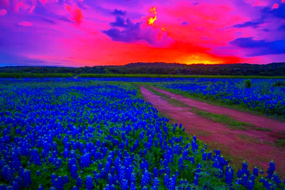 Top 20 Most Beautiful Places to Visit in Texas Global Grasshopper 