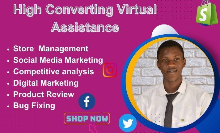 I will be your reliable virtual assistant for shopify marketing promotion