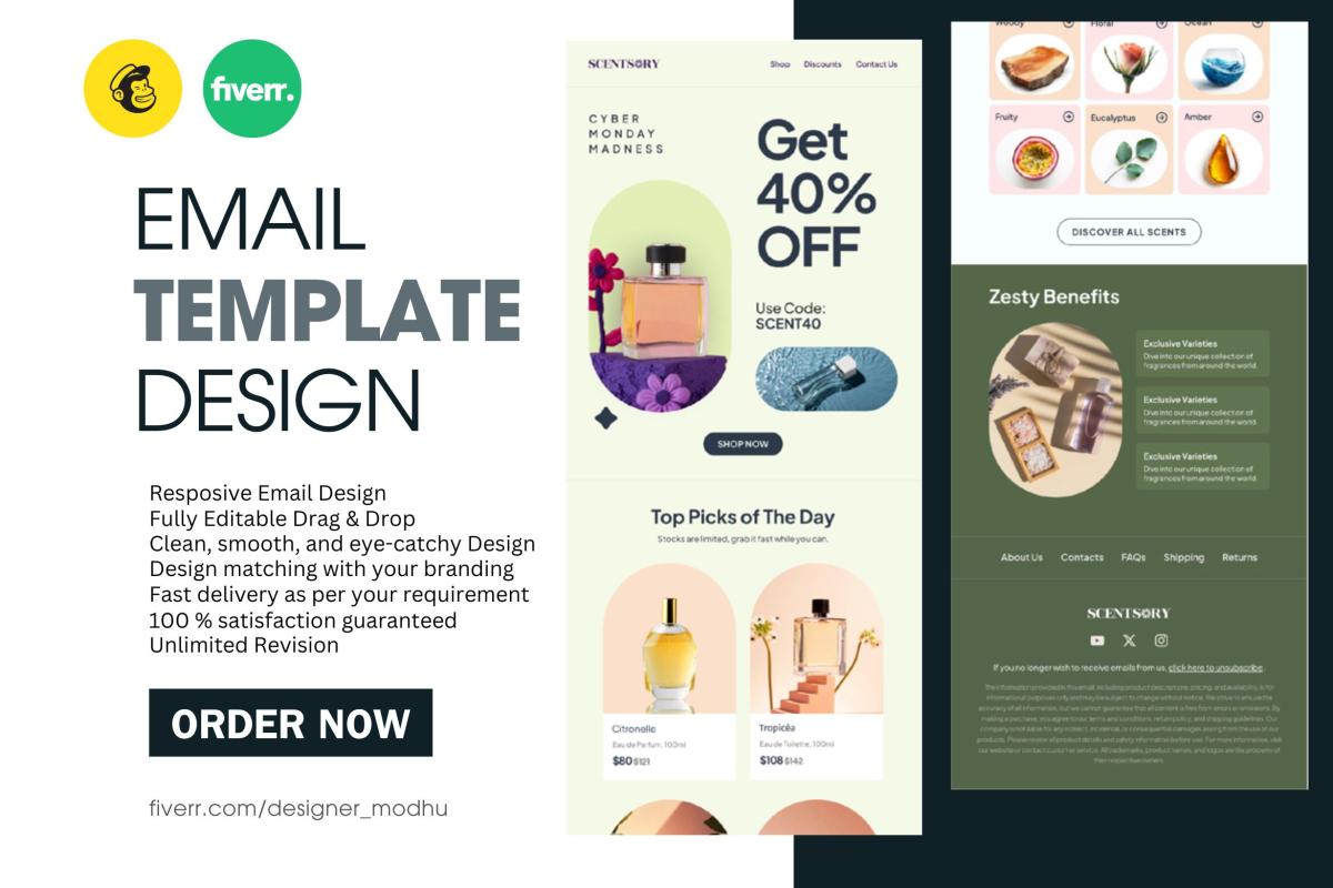 I will design mailchimp email template