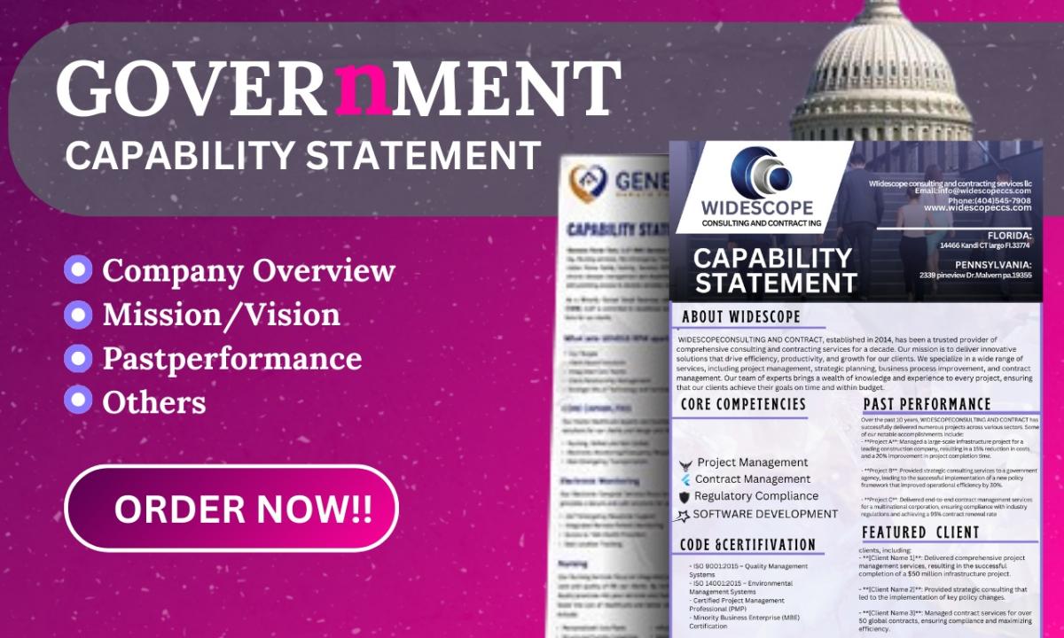 I will design capability statement, winning government capability statement