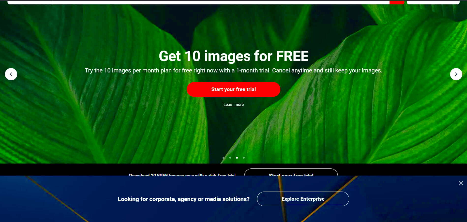 How To Get Shutterstock Images For Free Without Watermark