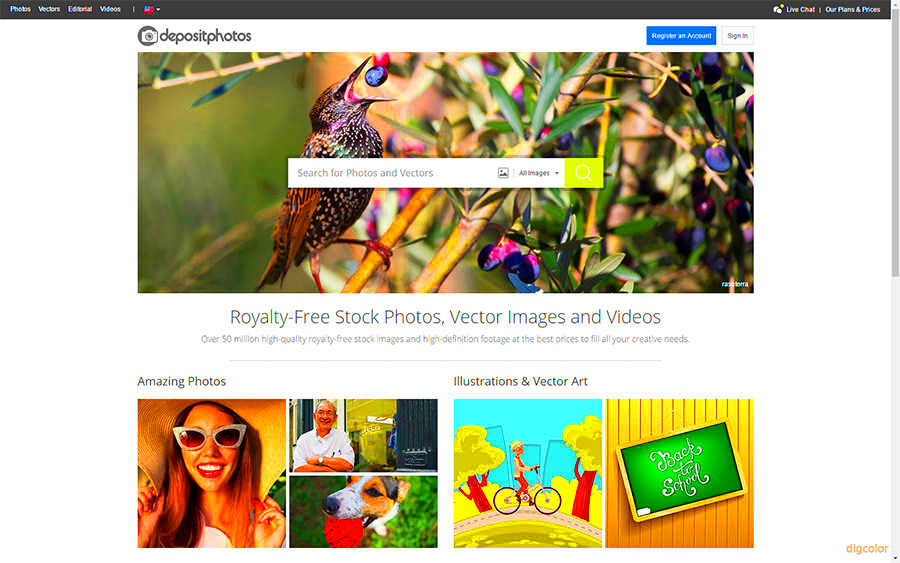 Top 5 stock photo libraries Dig color