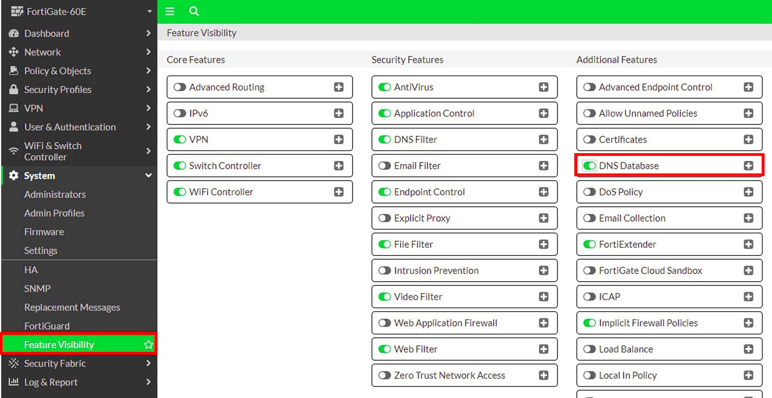 FortiGate How to configure DNS ClientServer Network Strategy Guide