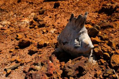 High Angle View of Mud on Rock – Free Stock Photo, Download for Free