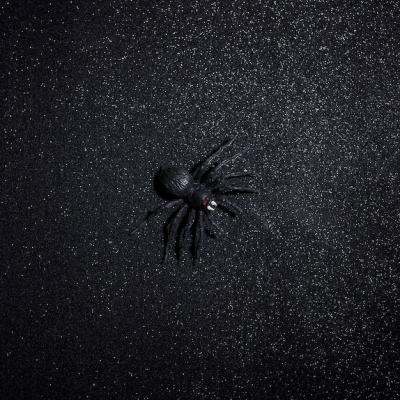 Big Black Halloween Spider on Dark Glitter Background – Free Download