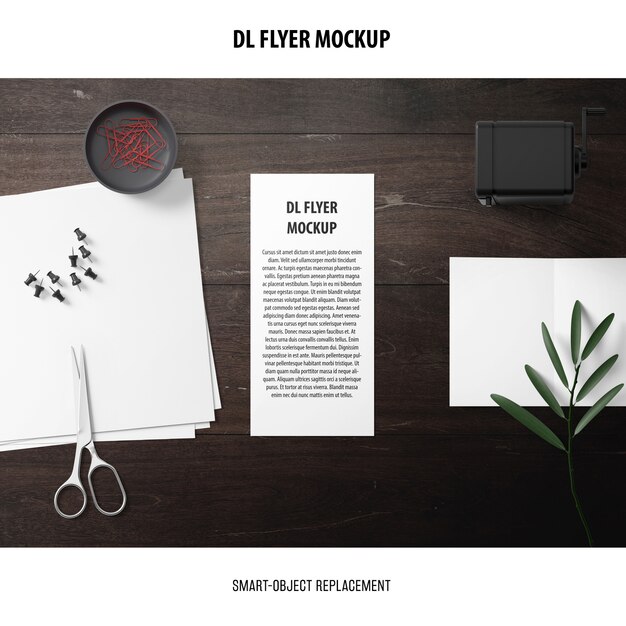 DL Flyer Mockup – Free Download Stock Photo